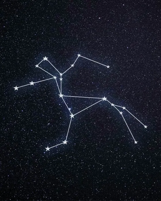 Constellation du Centaure