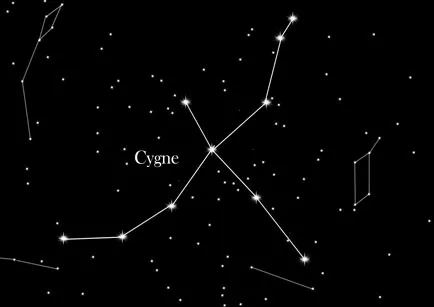 Constellation du Cygne — Croix du Nord